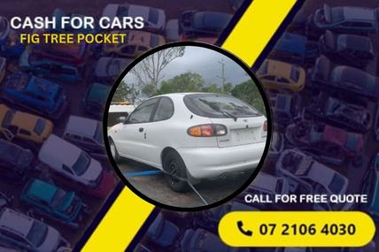 Cash for cars fig tree pocket